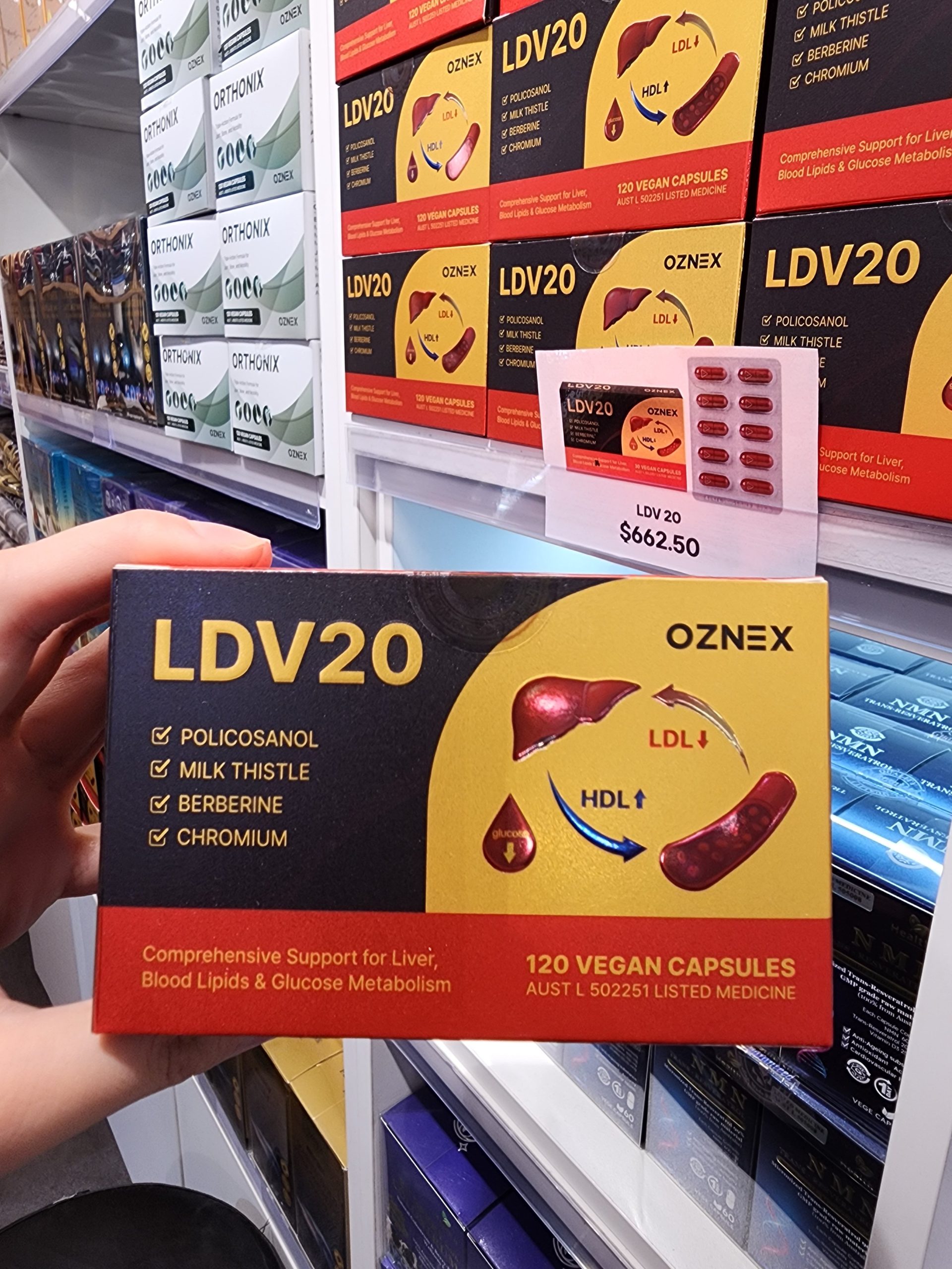 LDV20 부모님 선물